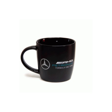Mercedes AMG Petronas Formula One Team